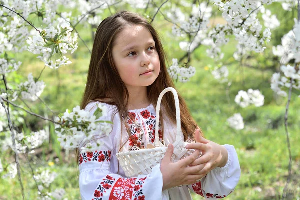 Девочка Традиционной Вышитой Рубашке Цветущем Вишневом Саду Ребенок Цветными Яйцами — стоковое фото