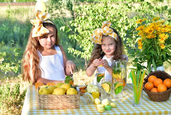 Девочки Готовят Свежий Лимонад Парке Имея Fun Summer Освежающий Натуральный — стоковое фото