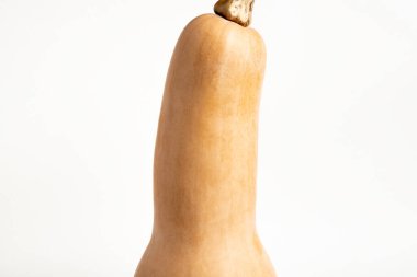 Sade beyaz bir arkaplanda balkabağı setinin yakın çekimi..