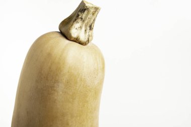 Sade beyaz bir arkaplanda balkabağı setinin yakın çekimi..