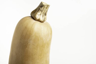 Sade beyaz bir arkaplanda balkabağı setinin yakın çekimi..