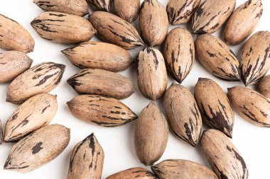 Düz beyaz arkaplanda kabuklu fındık.