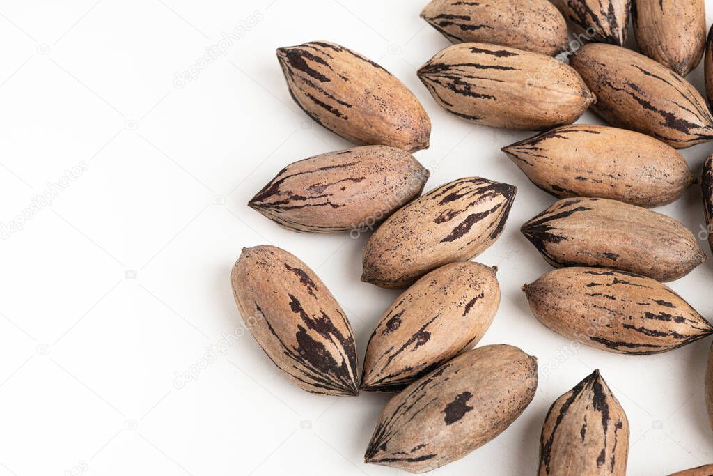 Pecan nuts in shell set on plain white background.