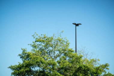 A tree top with green leaves juxtaposed with a black industrial metal light pole against clear cloudless blue sky.. clipart