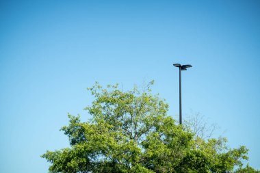 Üzerinde yeşil yapraklar olan bir ağaç tepesi ve berrak bulutsuz mavi gökyüzüne karşı siyah bir endüstriyel ışık direği yan yana...