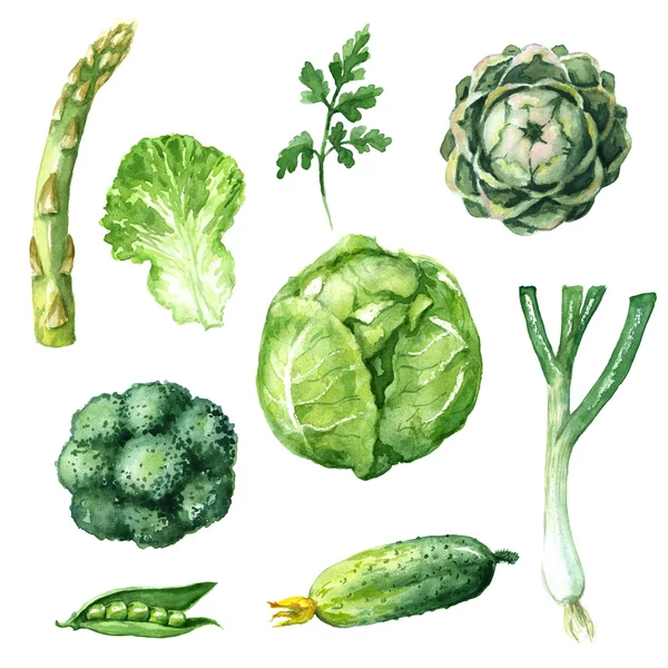 Conjunto de verduras verdes — Foto de Stock