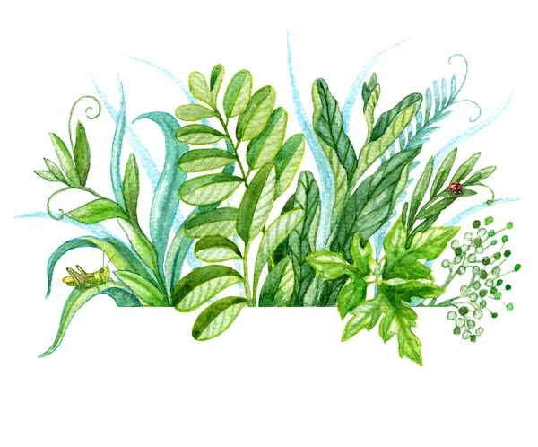 Watercolor bunch of green plants — Stock Photo, Image