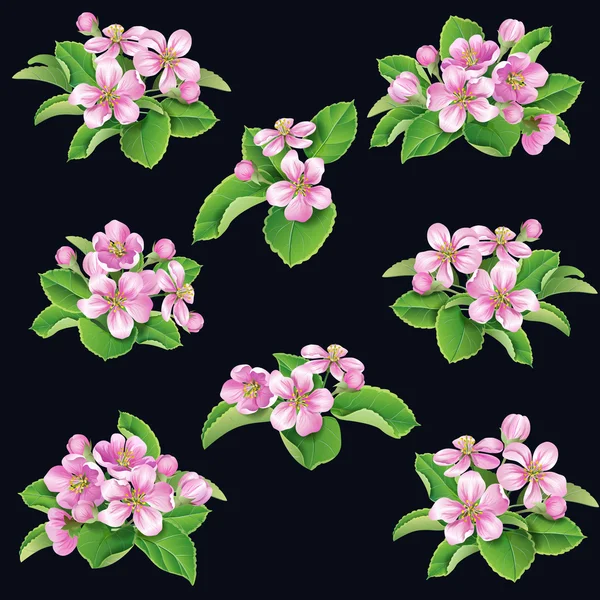 Bouquets d'arbres rose floraison — Image vectorielle
