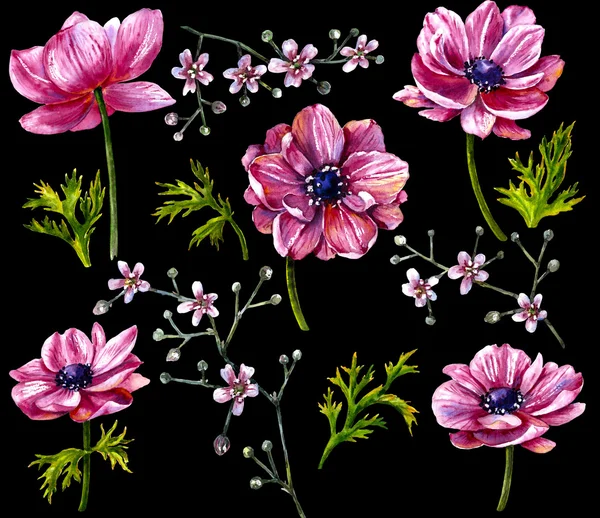 Watercolor Pink Flowers  on black. — Stock Photo, Image