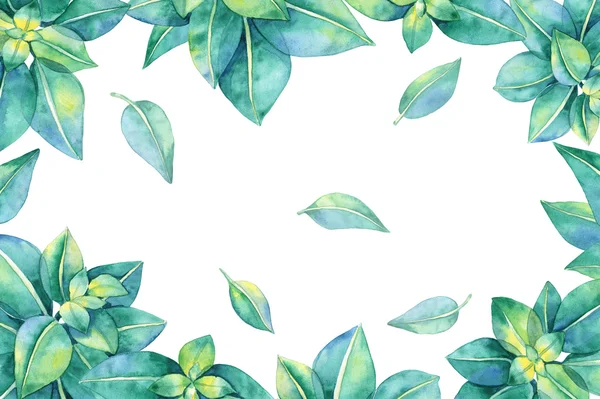 Moldura aquarela com folhas verdes — Fotografia de Stock
