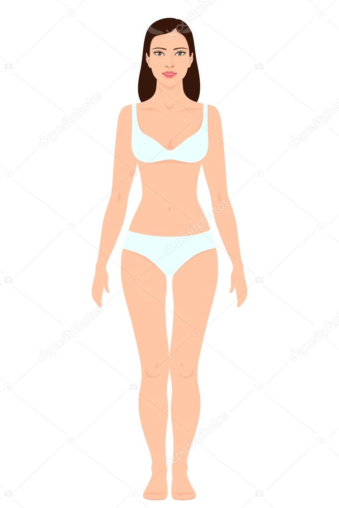 Woman Body Shape Template. Stock Vector by ©Valiva 109437276