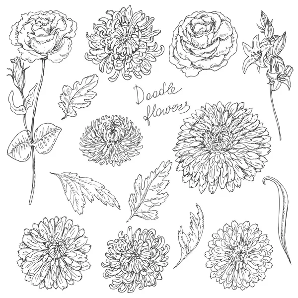 Набір квітів і листя ескіз — стоковий вектор