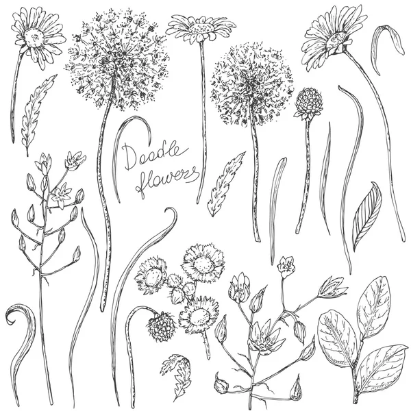 Conjunto de flores silvestres y boceto de hojas — Archivo Imágenes Vectoriales