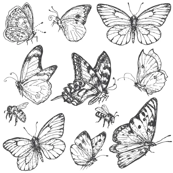 Hand drawn set of butterflies and bees. Vector Graphics