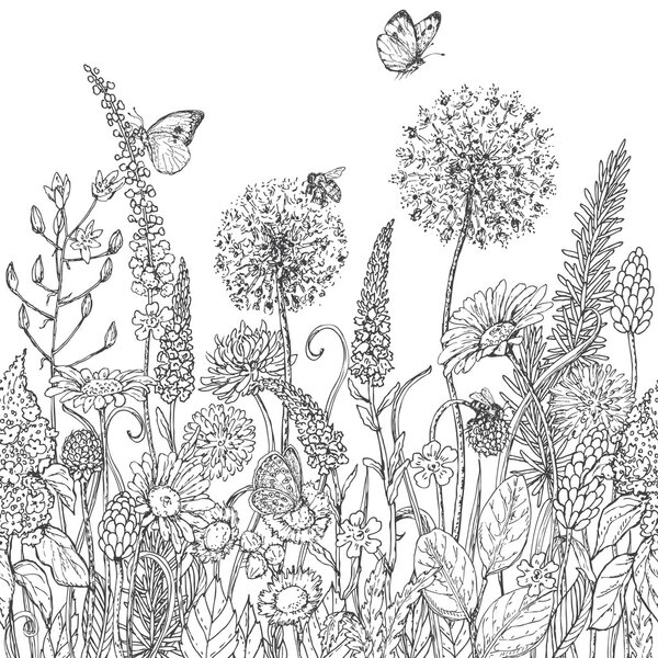 Seamless line pattern with wildflowers  and insects