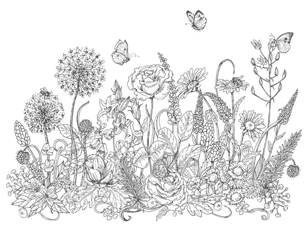 Croquis fleurs sauvages et insectes — Image vectorielle