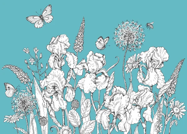 Iris, wild  flowers and insects sketch Vector Graphics
