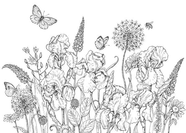 Croquis Iris, fleurs sauvages et insectes — Image vectorielle