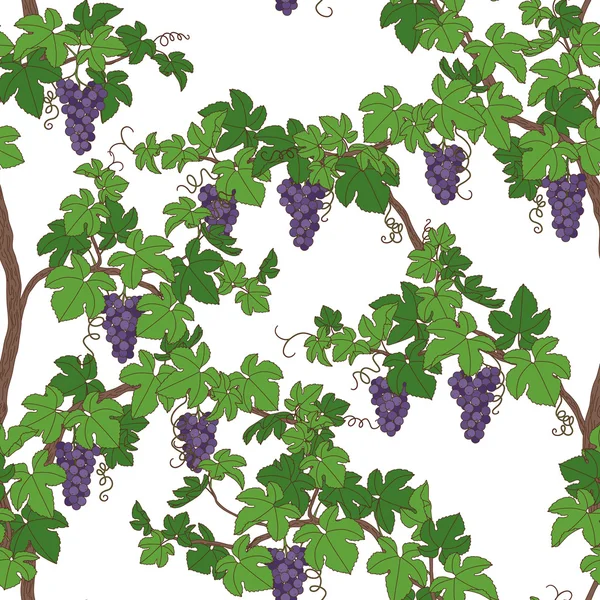 Seamless pattern with grapes — Stock Vector