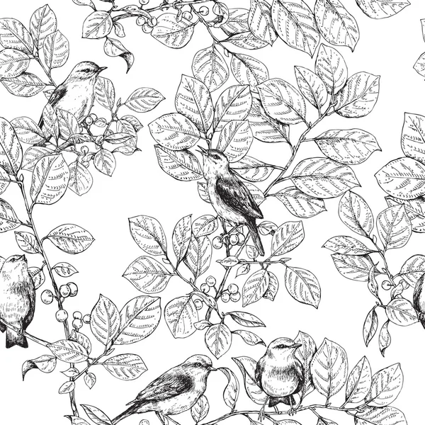 Motif sans couture avec des oiseaux sur les branches — Image vectorielle