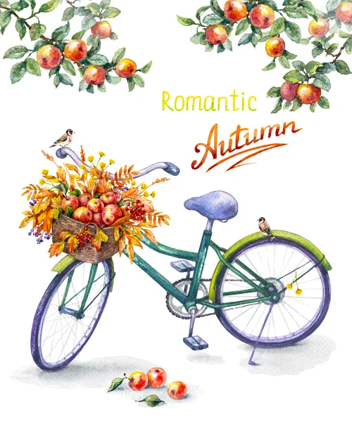 Ποδήλατο με καλάθι κόκκινα μήλα — Φωτογραφία Αρχείου