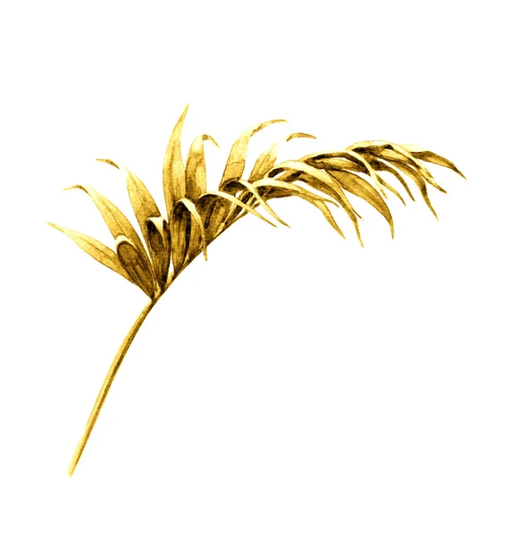 Golden Palm Leaf — Stock Photo, Image