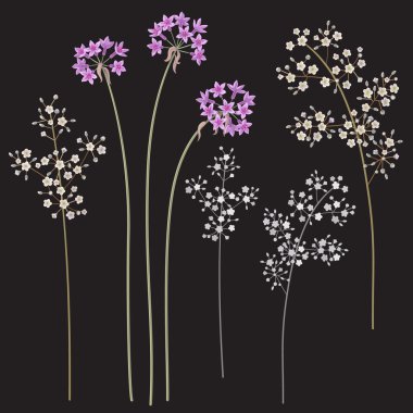 Small flowers on dark clipart