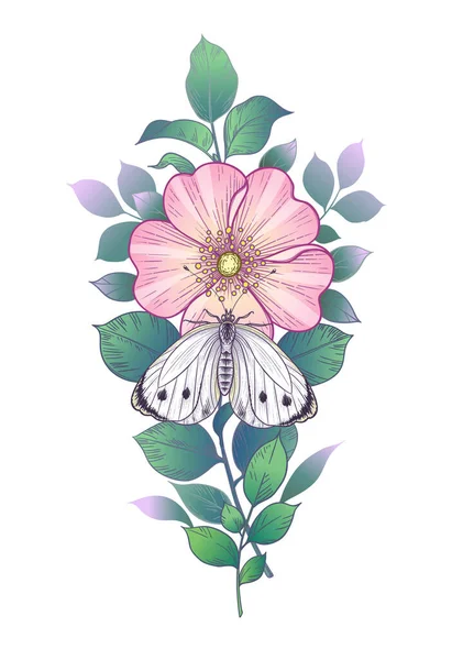 白地に描かれた手描きの毛先と蝶 ピンクの花と蛾 ヴィンテージスタイルのベクトルエレガントな花の組成 タトゥーデザイン — ストックベクタ