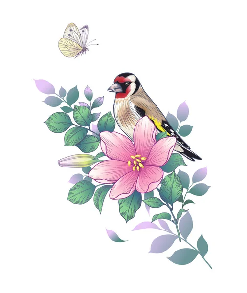 手绘金翅雀坐在枝条上 粉红色的花朵与白色背景隔离 矢量优雅的花卉组成与鸟类和蝴蝶的老式风格 纹身设计 — 图库矢量图片