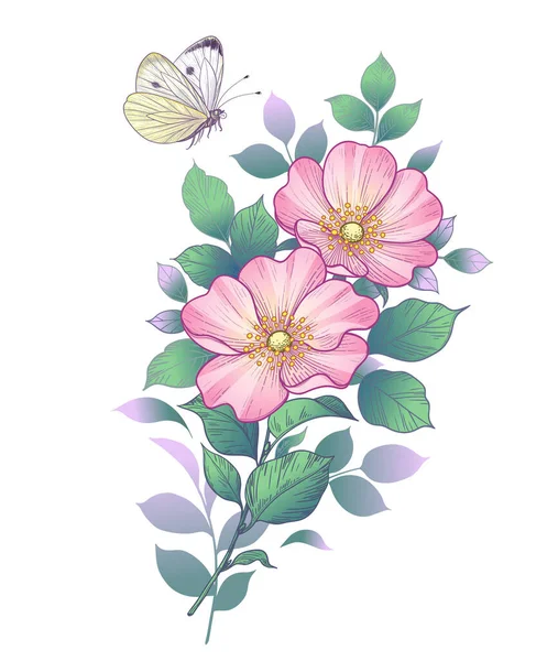 Ручная Рисованная Ветка Собачьей Розы Розовыми Цветами Летающей Бабочкой Изолирована — стоковый вектор