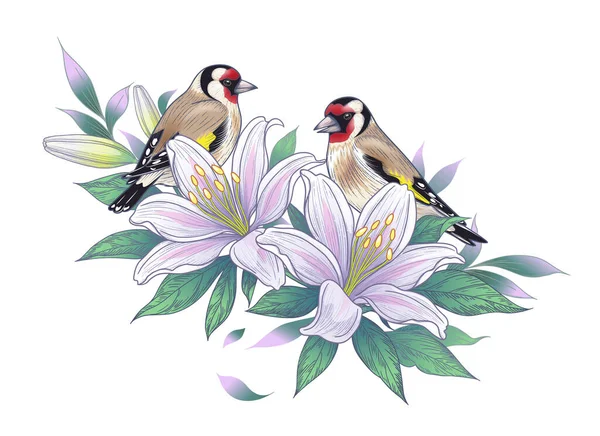 Hand Drawn Goldfinch Couple Sitting Lily Branch Isolated White Background — Stock Vector