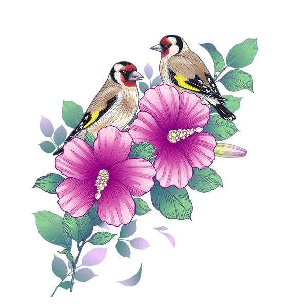Hand Drawn Colorful Goldfinches Sitting Hibiscus Branch Pink Flowers Green — Stock Vector