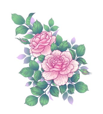 Hand drawn pink rose flower, buds and leaves bunch isolated on white. Vector line art elegant floral composition in vintage style, t-shirt, tattoo design, wedding decoration.