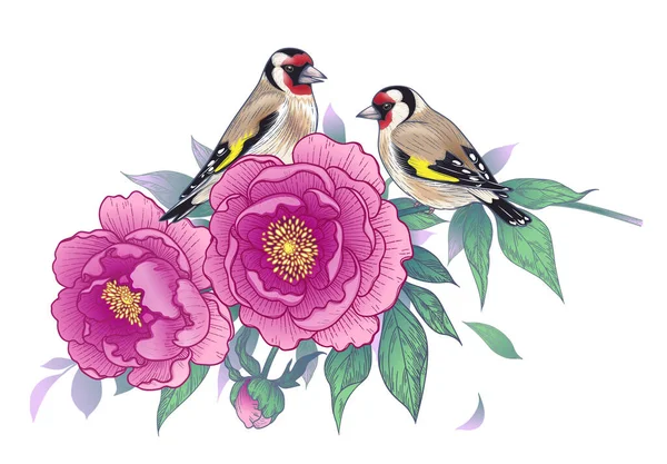 手绘金翅雀 坐在牡丹枝上 粉红的花朵 叶子在白色的背景上隔绝 向量色彩艳丽的花卉构图与鸟类的老式风格 纹身设计 — 图库矢量图片