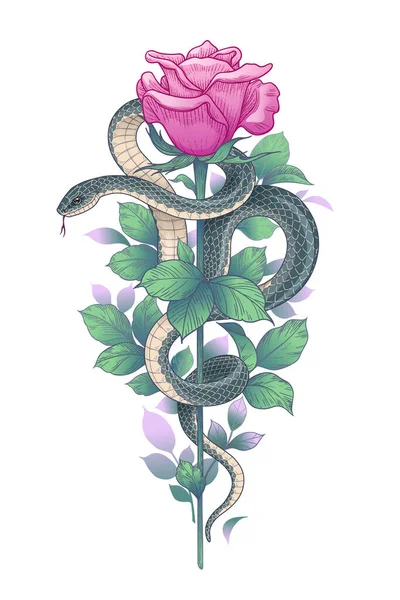 Serpente Ritorto Disegnato Mano Bocciolo Rosa Rosa Gambo Alto Isolato — Vettoriale Stock