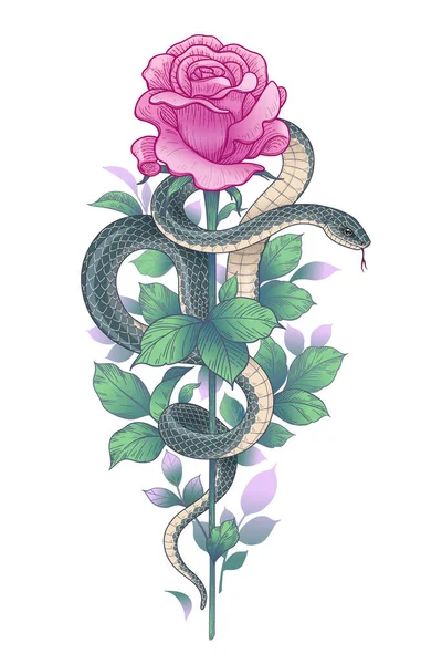 Serpente Ritorto Disegnato Mano Bocciolo Rosa Rosa Gambo Alto Isolato — Vettoriale Stock