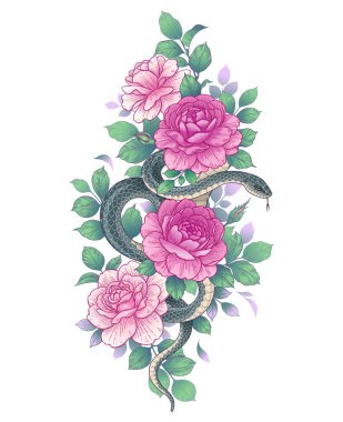 Beyaz üzerine izole edilmiş pembe güllerin arasında el yapımı çarpık bir yılan. Çiçekleri ve yaprakları olan karanlık yılanı yönlendir. Klasik tarzda çiçek dikey düzenleme, tişört tasarımı, dövme sanatı.