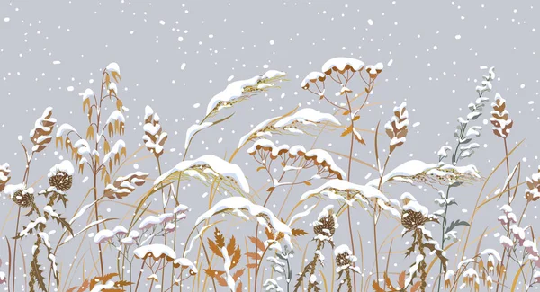Безшовна Горизонтальна Межа Зимовим Снігом Покриває Лугові Рослини Дикі Трави — стоковий вектор
