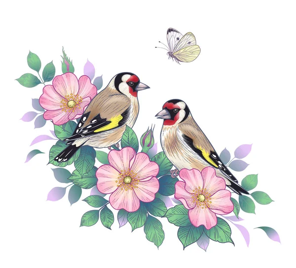 手绘金翅雀 坐在玫瑰狗枝上 开着粉红的花 飞着蝴蝶 与鸟类配种的古老风格 T恤衫 纹身图案的病媒典雅花束 — 图库矢量图片
