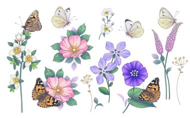 El çizimi pembe ve mor kır çiçekleri ve beyaz arka planda izole edilmiş kelebekler. Renkli farklı çiçek elementleri ve çayır böcekleri. Vintage tarzında ayarlanmış zarif çiçekler.