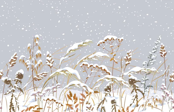 Seamless Horizontal Border Winter Snow Covered Meadow Plants Wild Herbs — Stock Vector