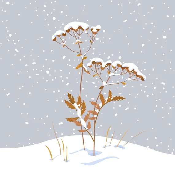 Wintersneeuw Bedekt Weideplanten Wild Kruid Onder Sneeuw Grijze Achtergrond Winterlandschap — Stockvector