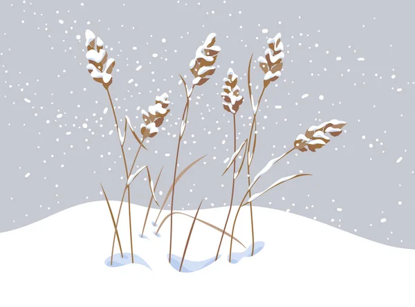 Kış Karı Çayır Bitkilerini Kapladı Gri Arka Planda Kar Altında — Stok Vektör