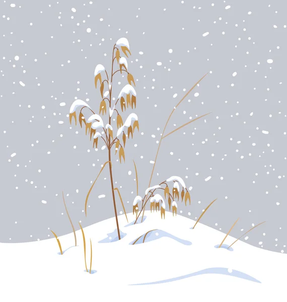 Winter Snow Covered Meadow Plants Wild Cereals Snow Gray Background — Stock Vector