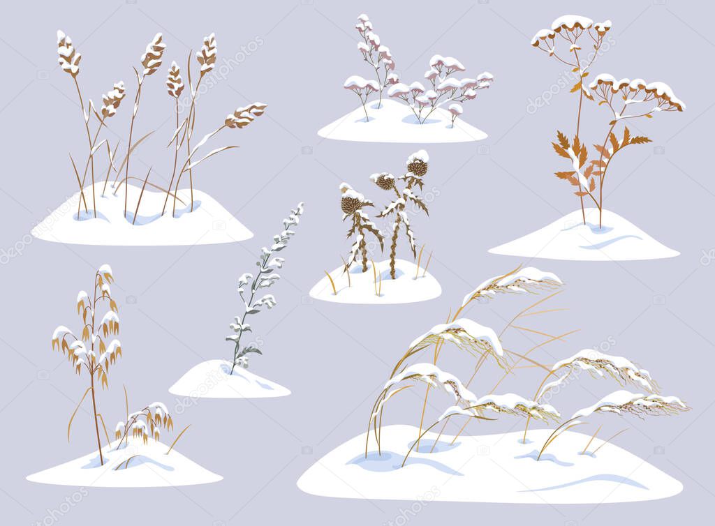 Winter collection snow covered meadow plants. Set of wild herbs and cereals under the snow isolated on gray background. Winter scenery fragments with simple dried grasses vector flat illustration.