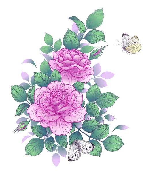 Branche Rose Dessinée Main Avec Fleur Rose Bourgeons Feuilles Isolés — Image vectorielle