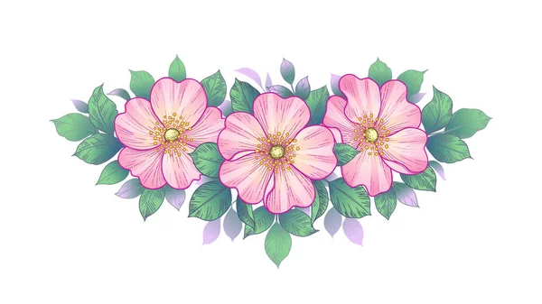 Ручная Роза Букет Розовыми Цветами Зелеными Листьями Изолированы Белом Векторное — стоковый вектор