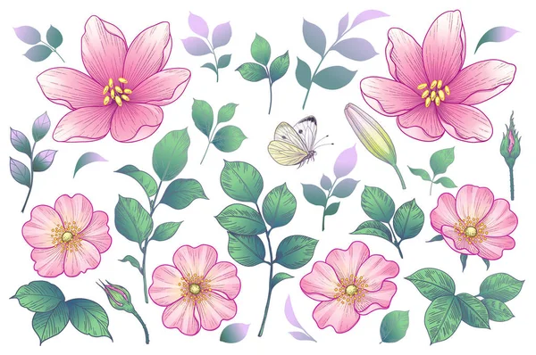 異なる花の頭 葉を白い背景に孤立して咲かせます ピンクの犬バラと夏のコレクション ベクトルの花の要素とヴィンテージスタイルで蝶を飛んで — ストックベクタ