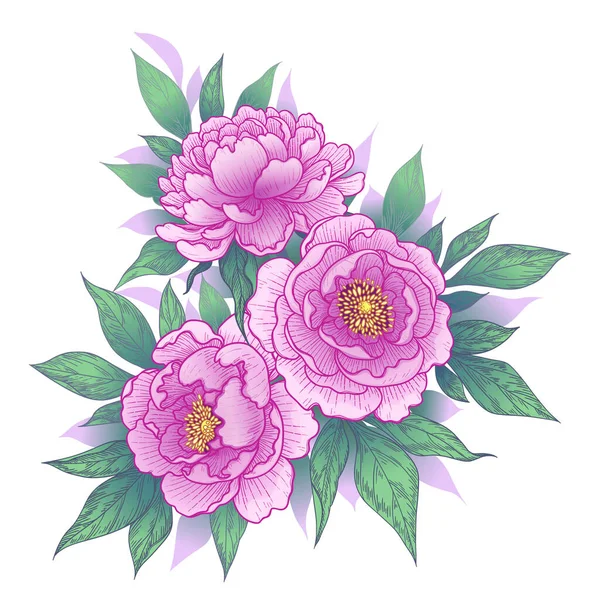 Flores Peonía Rosa Dibujadas Mano Racimo Hojas Aisladas Blanco Arte — Vector de stock