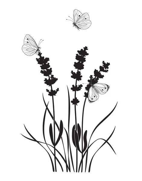 Monochrome Composition Butterflies Lavender Flowers Black Silhouette Wildflowers Grasses Flying — Stock Vector